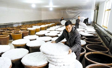 酿造食醋奔富路，食品销售创辉煌——传统技艺与现代市场的完美融合