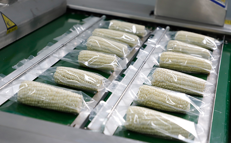 昭通大关 打造糯玉米全产业链 助力乡村振兴与食品销售新突破